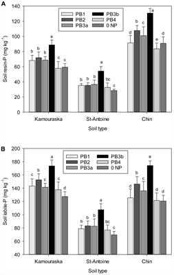 Soil Phosphorus Fractionation as Affected by Paper Mill Biosolids Applied to Soils of Contrasting Properties